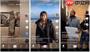 tiktok官网登录入口在哪