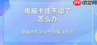 电脑老是死机卡住不动怎么解决