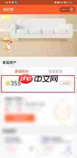 支付宝怎么查看家庭积分