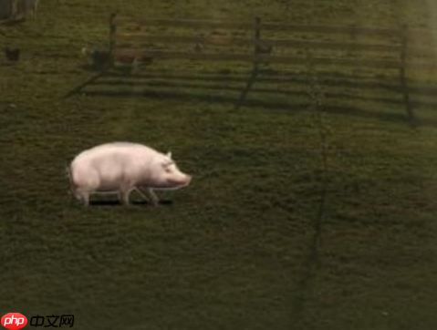 微信农场为什么这么火