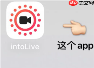 intoLive官网入口 intoLive无法打开的原因及解决方法