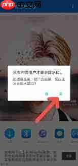 toonme去水印的方法