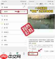 微信视频号评论好友能看到吗
