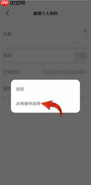 微信读书头像在哪来换