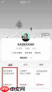 网易云如何布置唱片架