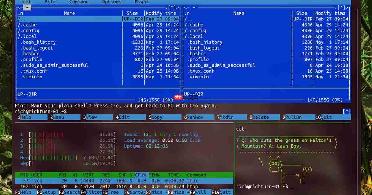 Windows Terminal是什么？