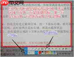 Snipaste如何自定义截图区域形状