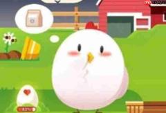 大熊猫爱吃的竹子实际上是什么
