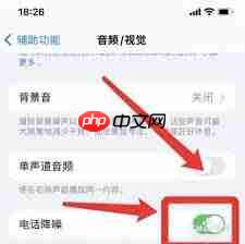 ios15系统如何开启电话降噪功能