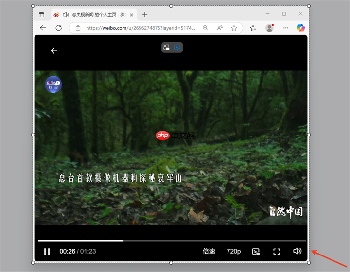 小旺AI截图V1.1.6版本更新,截图窗口自动吸附