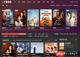 欧美大片在线观看网站入口在哪