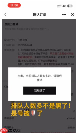 泡泡玛特下单人数过多怎么办 泡泡玛特下单人数过多原因及解决方法