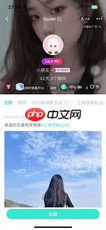 Soul聊天要錢嗎