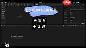 剪映如何去除字幕