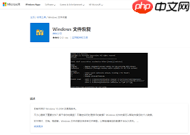 如何下载安装Windows文件恢复工具