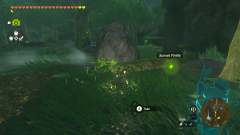 Where to find Sunset Fireflies in Zelda: Tears of the Kingdom