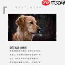 抖音金毛siri是什么梗