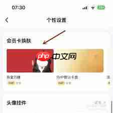 百度网盘怎么设置个性换肤