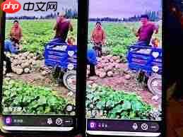 抖音一起看功能如何用