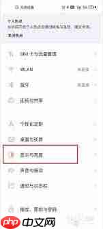 vivo手机字体调节在哪里