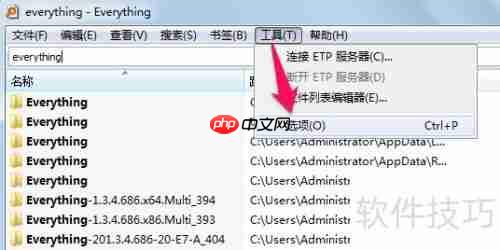 Everything中文版使用技巧：高效搜索文件的方法