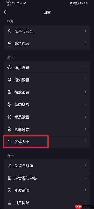 抖音字体怎么调整