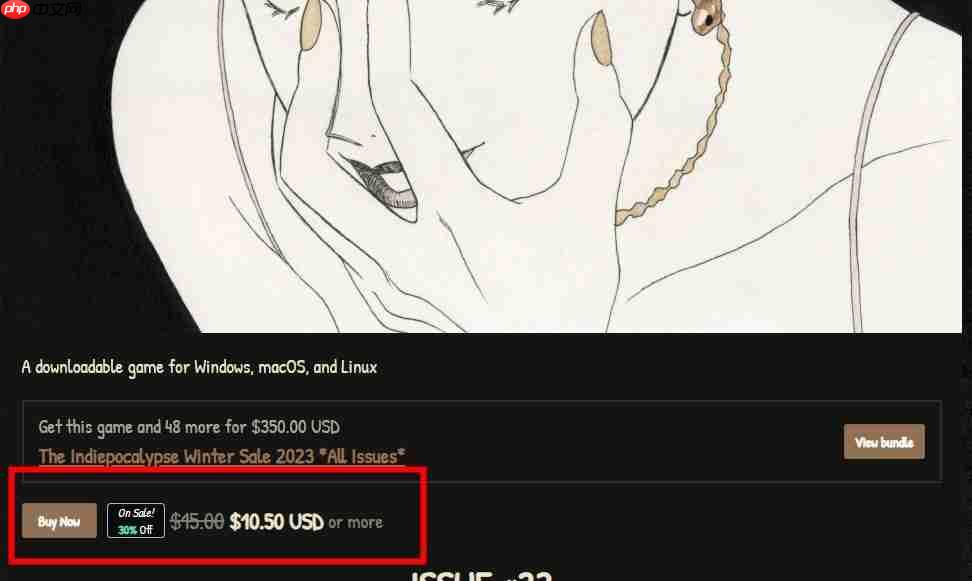 《itch.io》支付方法教程