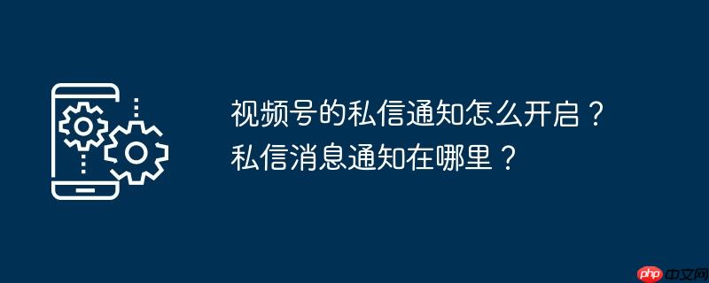 视频号的私信通知怎么开启？私信消息通知在哪里？