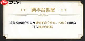 如何看待鸿蒙系统对荣耀用户的区别对待