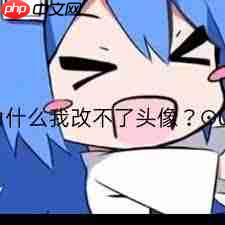 B站点击头像没反应怎么办