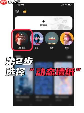 intolive怎么把视频转化动态壁纸 intolive动态壁纸只有2秒、1秒怎么办