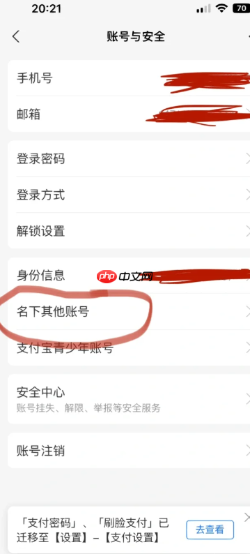 支付宝账号怎么查 支付宝账号是不是就是手机号
