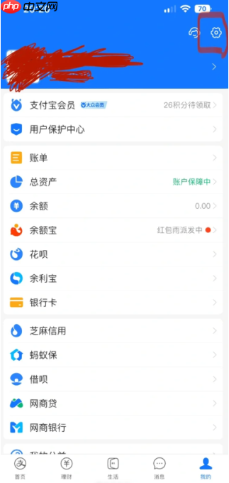 支付宝账号怎么查 支付宝账号是不是就是手机号