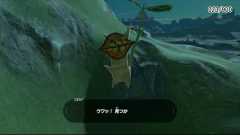 Breath of the Wild Korok Seed locations