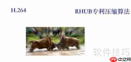 好视通和视高gomeetnow哪个好？