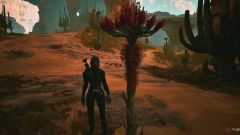 Dune : ?? -???? ????? ??? ???? ??