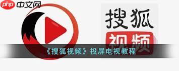 搜狐视频如何投屏到电视