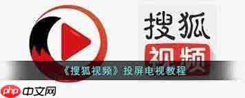 搜狐视频如何投屏到电视