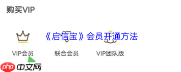 启信宝如何开通会员