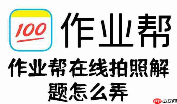 作业帮在线拍照解题怎么弄