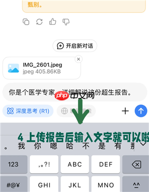 deepseek怎么识别图片进行分析 deepseek识别图片进行分析流程