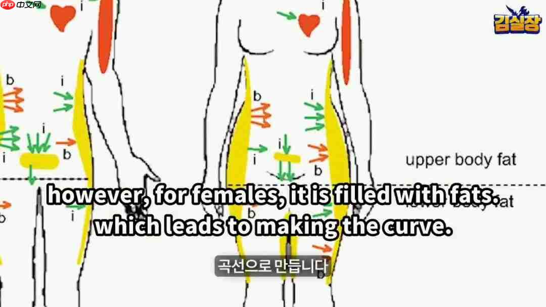 金亨泰开讲“臀部美学”：《剑星》女主性感背后的解剖与哲学