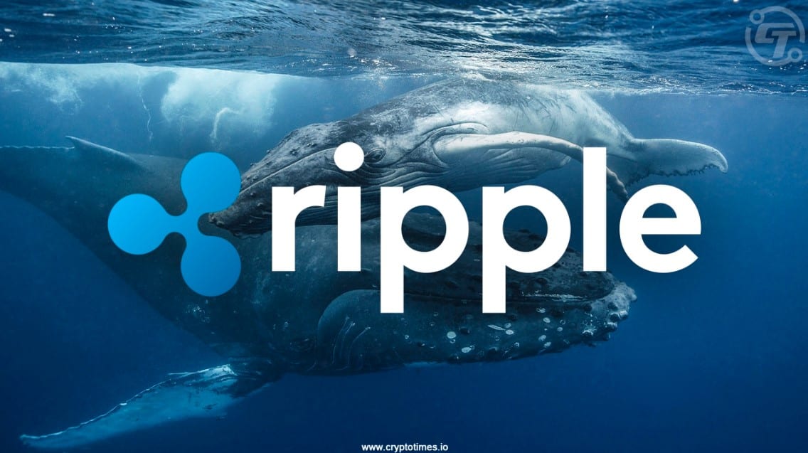 Ripple，XRP和Coinbase：导航鲸鱼运动和ETF希望
