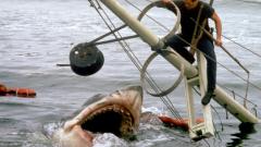 'Jaws' By The Numbers: 50 Years Of Merch, Media And Money