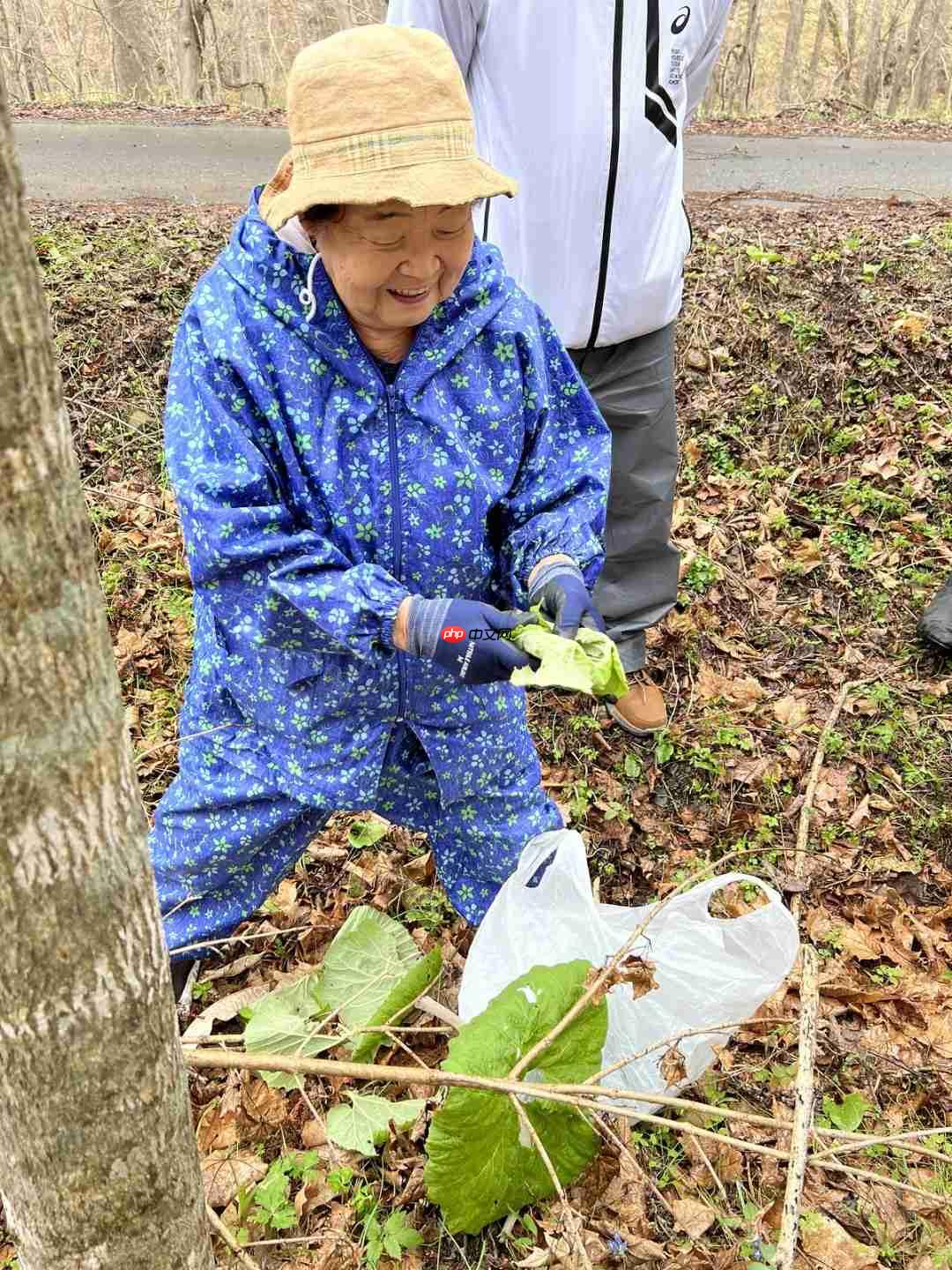 《羊蹄山之魂》确认加入采集食物 力求真实描绘北海道