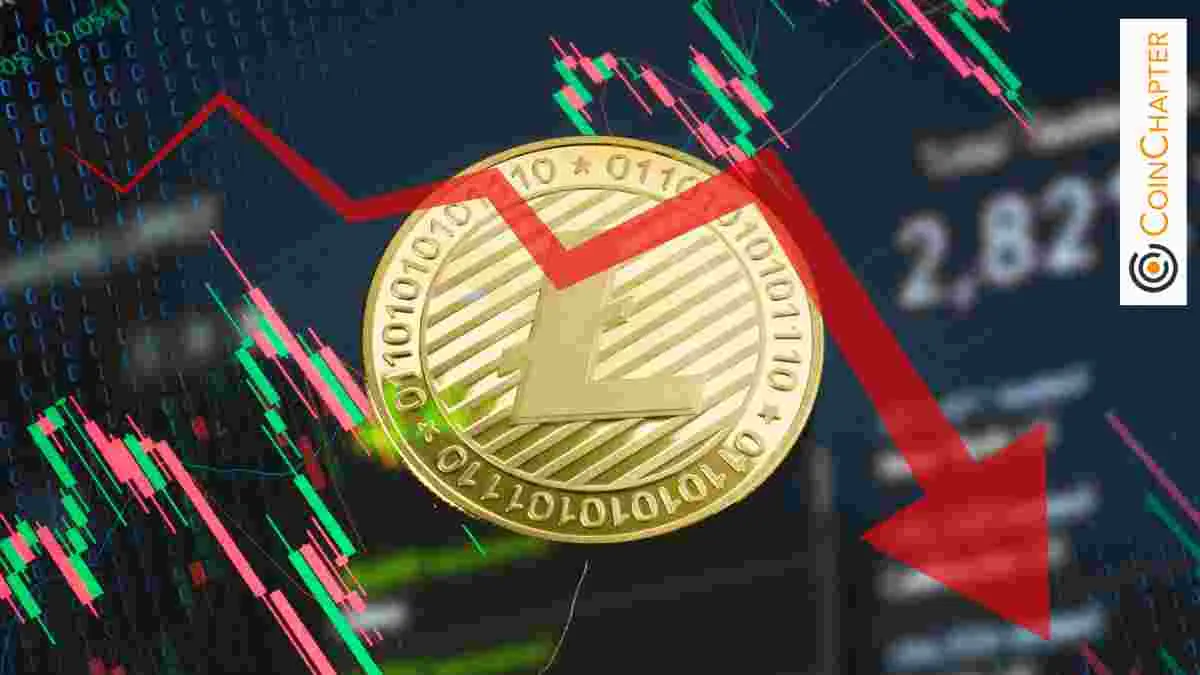 Litecoin ETF希望与崩溃风险发生冲突：纽约州的观点