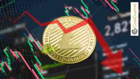 Litecoin ETF希望与崩溃风险发生冲突：纽约州的观点