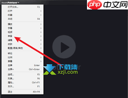 potplayer如何设置立体声