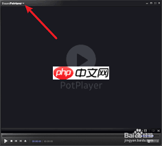 potplayer如何设置立体声