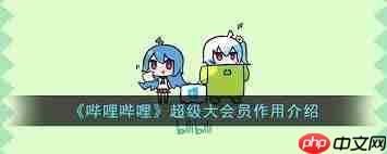 哔哩哔哩超级大会员有啥作用